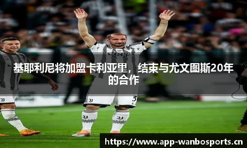 万博体育官网