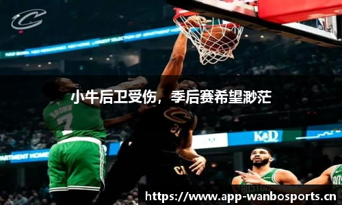 小牛后卫受伤，季后赛希望渺茫