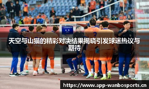 天空与山猫的精彩对决结果揭晓引发球迷热议与期待